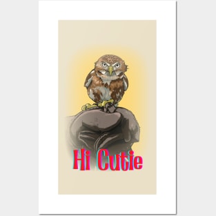 Hi Cutie Lovely Little Owl Design for all Owl Lovers and collectors of Owl Gifts Posters and Art